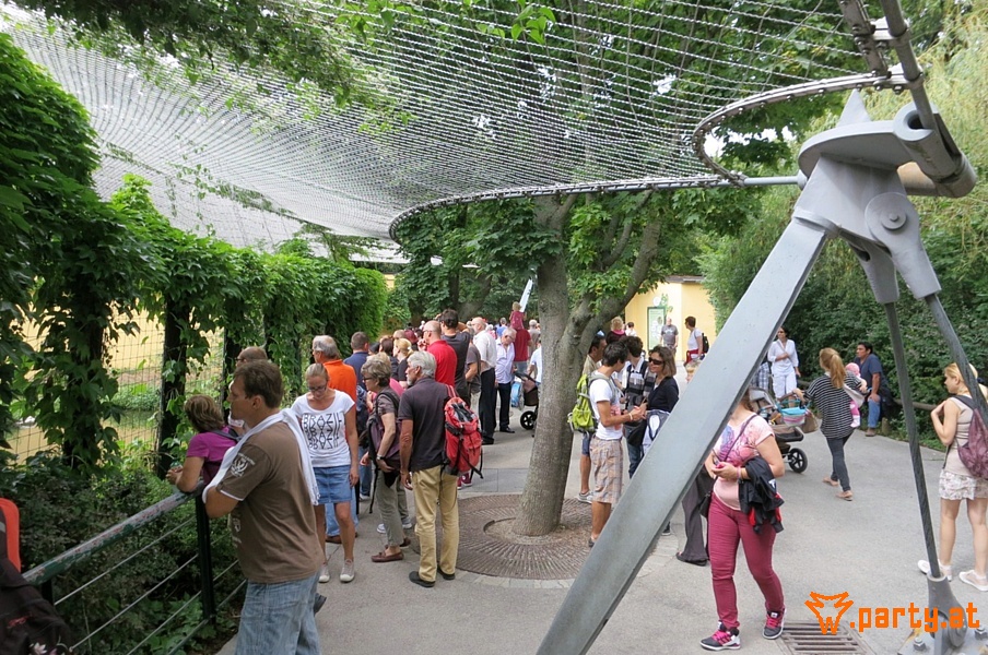 Bild 29