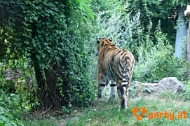 Bild 28