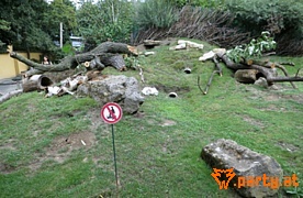Bild 31