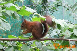 Bild 52