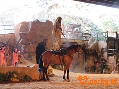 Bild 22