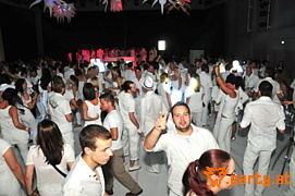 Bild 20