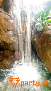 Bild 86