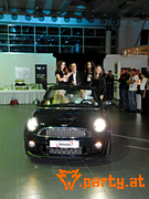 Bild 81
