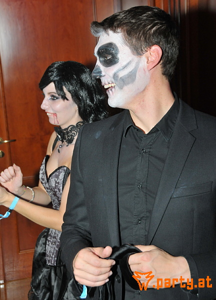 Bild 11