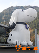Bild 222