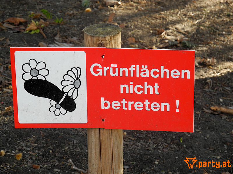 Bild 29