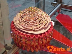 Bild 20