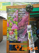 Bild 67