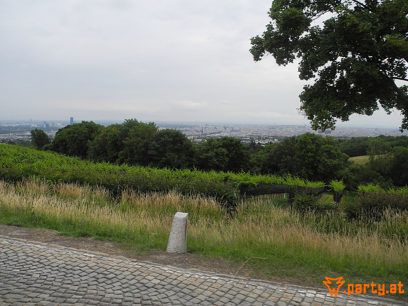 Bild 99