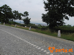 Bild 100