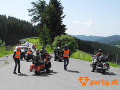 Bild 50