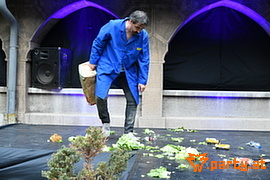Bild 33