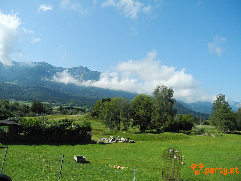 Bild 165