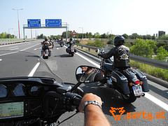 Bild 63