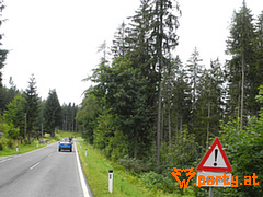 Bild 112