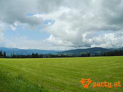 Bild 114