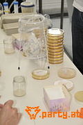 Bild 24