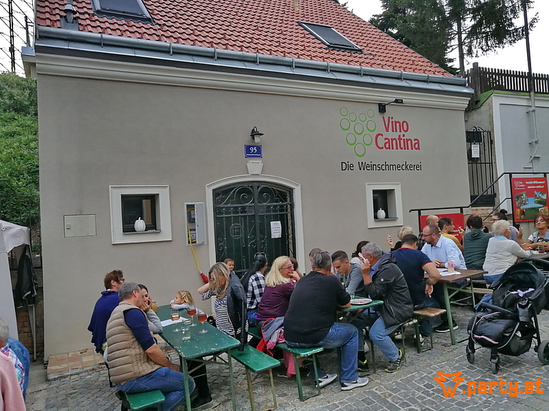 Bild 36