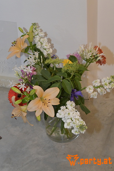 Bild 44