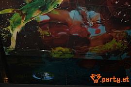 Bild 61