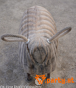 Bild 14