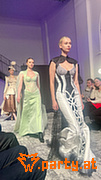 Bild 41
